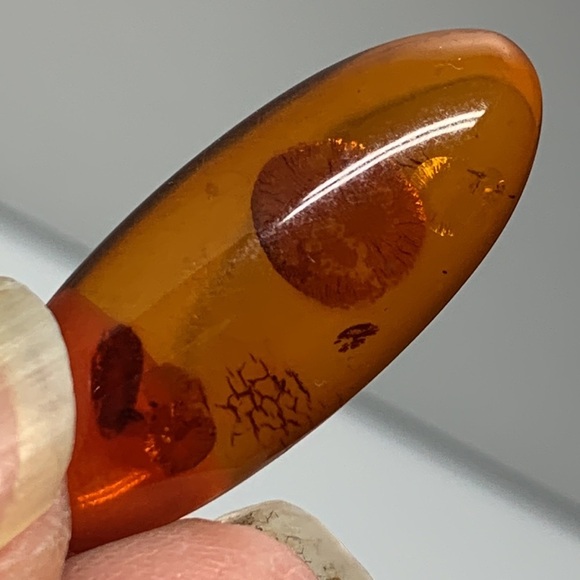 Amber 4.63 Cts Natural Orange Red Color Baltic Gemstone Cabochon for Jewelry - Picture 17 of 17